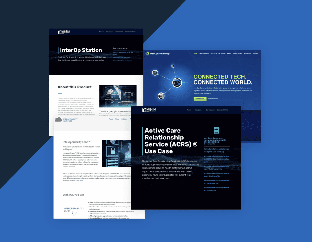 MIchigan Health Information Network Case Study