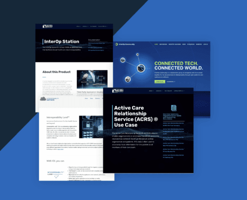 MIchigan Health Information Network Case Study